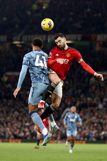 训练中的心 训练中的心